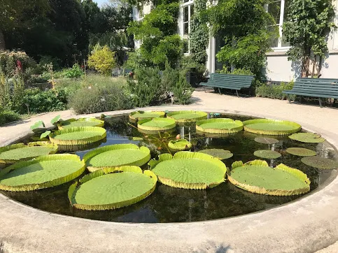 حديقة النباتات امستردام
